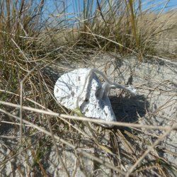 Pumice stone from Santorini
